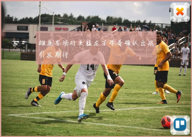 雄鹿客场对决猛龙字母哥确认出战引发期待