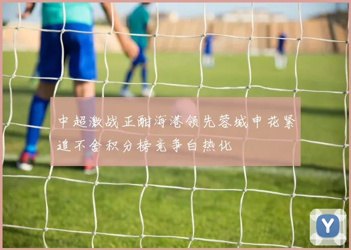 中超激战正酣海港领先蓉城申花紧追不舍积分榜竞争白热化