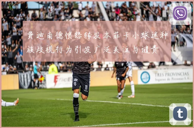 费迪南德愤怒转发本菲卡小球迷种族歧视行为引发广泛关注与谴责