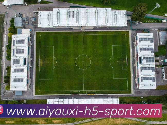 爱游戏平台生态图